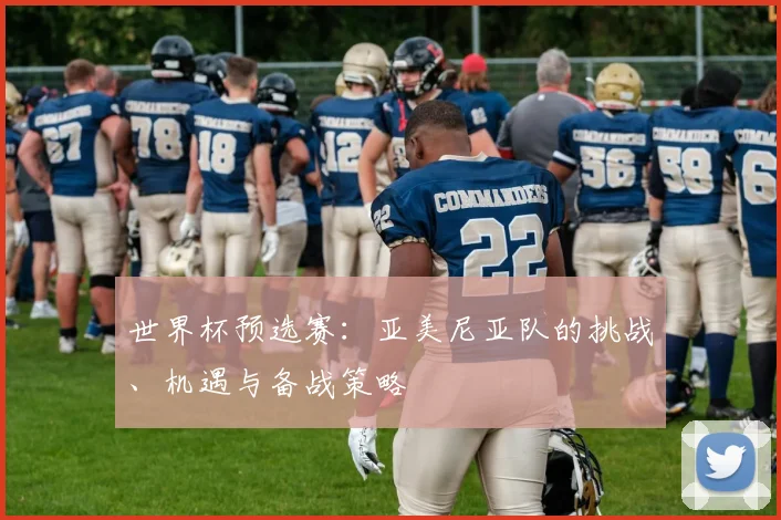 世界杯预选赛:亚美尼亚队的挑战、机遇与备战策略