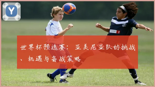 世界杯预选赛：亚美尼亚队的挑战、机遇与备战策略